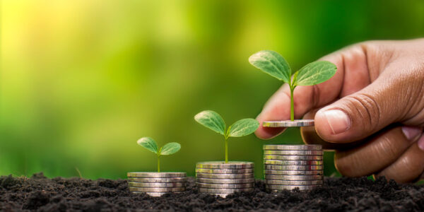 Planting a tree on a pile of money, including the hand of a woman holding a coin to a tree on the coin, money saving ideas and investing in the future.